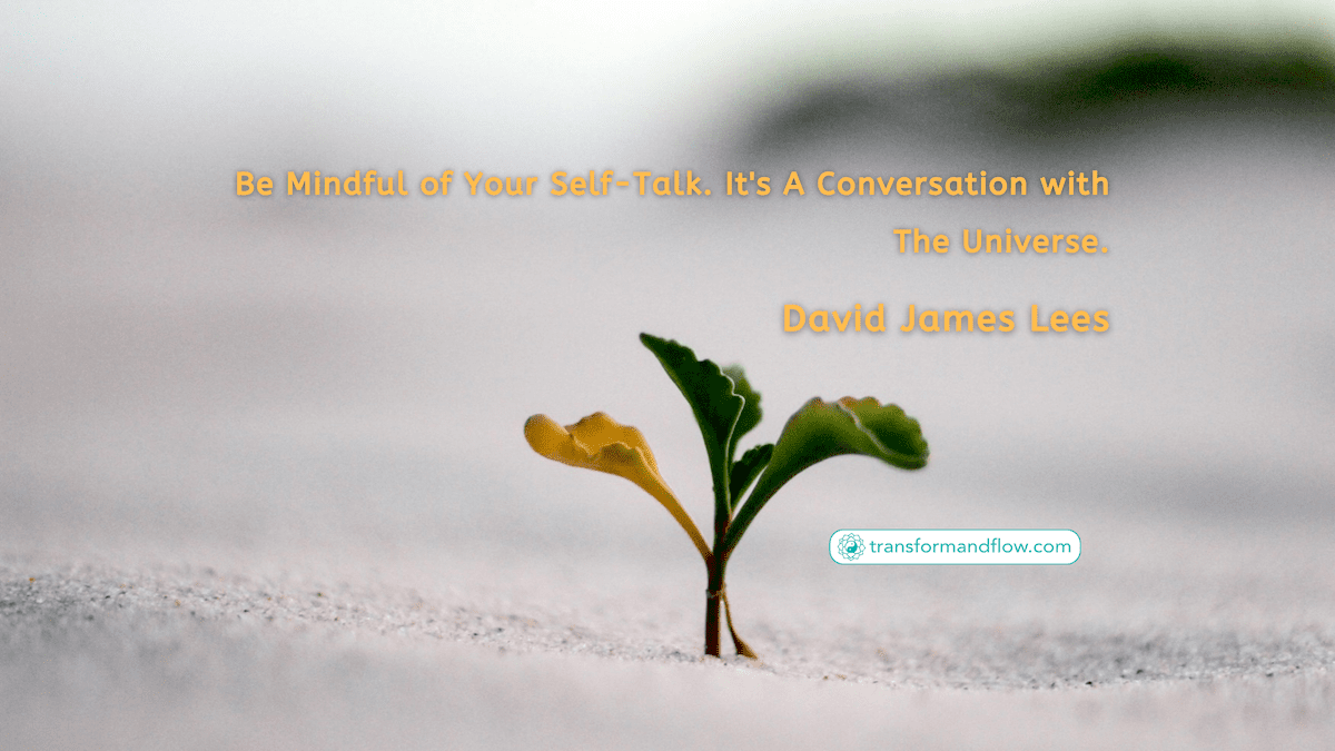Be Mindful of Your Self-Talk. It's A Conversation with The Universe - David James Lees
